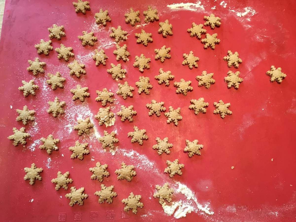 Biscuits Ou Friandises Pour Chat Ou Chien Au Companion Thermomix Ou Autres Robots Les Recettes De Sandrine Au Companion Ou Pas Biscuits Ou Friandises Pour Chat Ou Chien Au Companion Thermomix Ou Autres Robots Les Recettes De Sandrine Au Companion Ou Pas