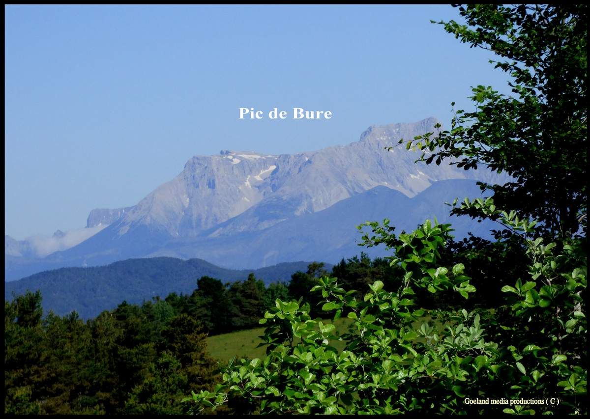 Pic de BURE ( Htes Alpes ) plein nord vue des crêtes de Chabanon - alpes de haute Provence