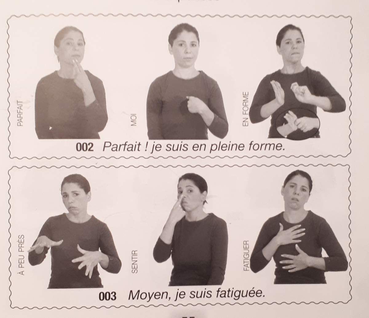Lsf 3 Phrases Et Leurs Reponses Pour Se Connaitre Ma Vie Entre Deux Mondes