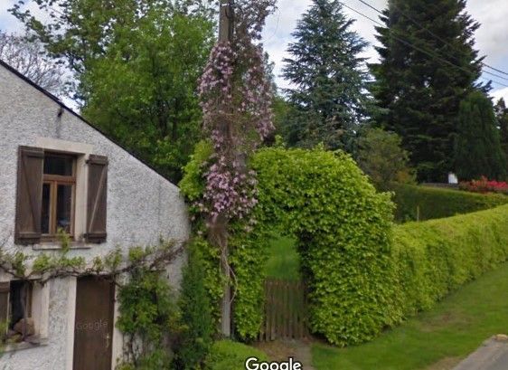 Photo de clématite montana prise sur google street view