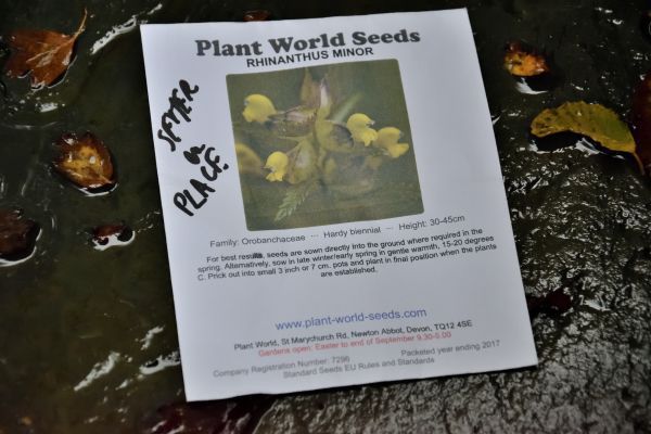 En anglais, Rhinantus est appelé "Yellow rattle" (hochet jaune). J'ai profité de ma commande de vivaces pour en acheter (cher) chez "Plant World Seeds".