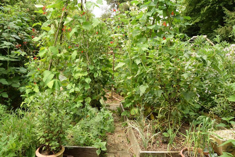 entrée du potager