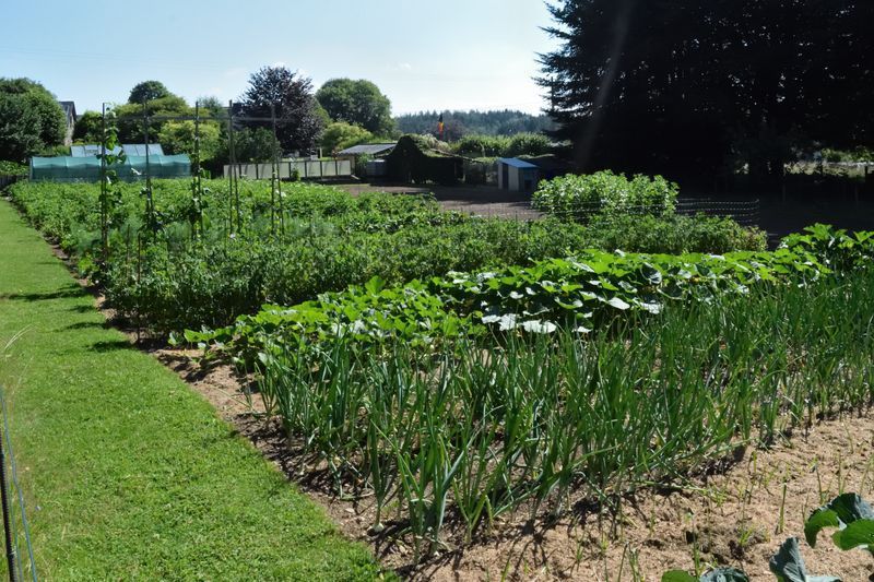 potager à freux