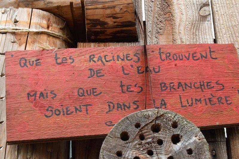 Petites Phrases De Jardins Au Jardin Des Quatre Moineaux