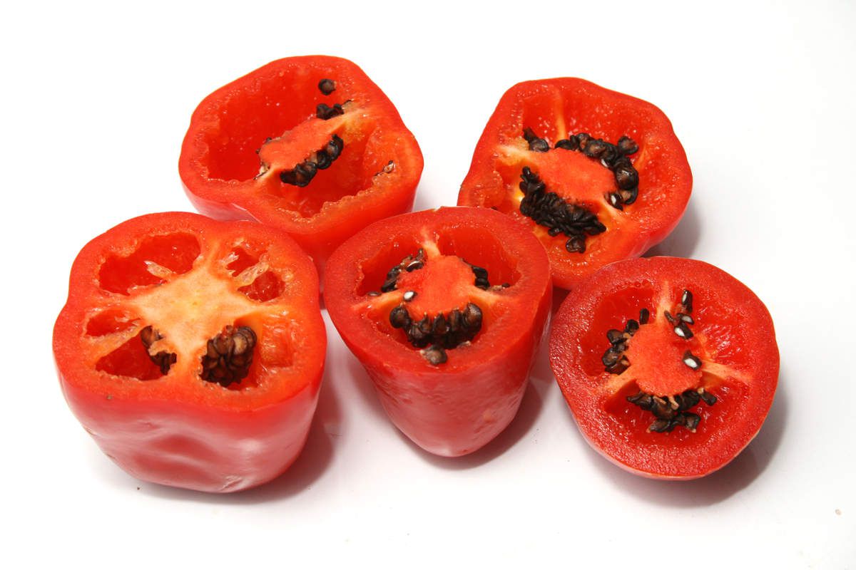 Piment rocoto