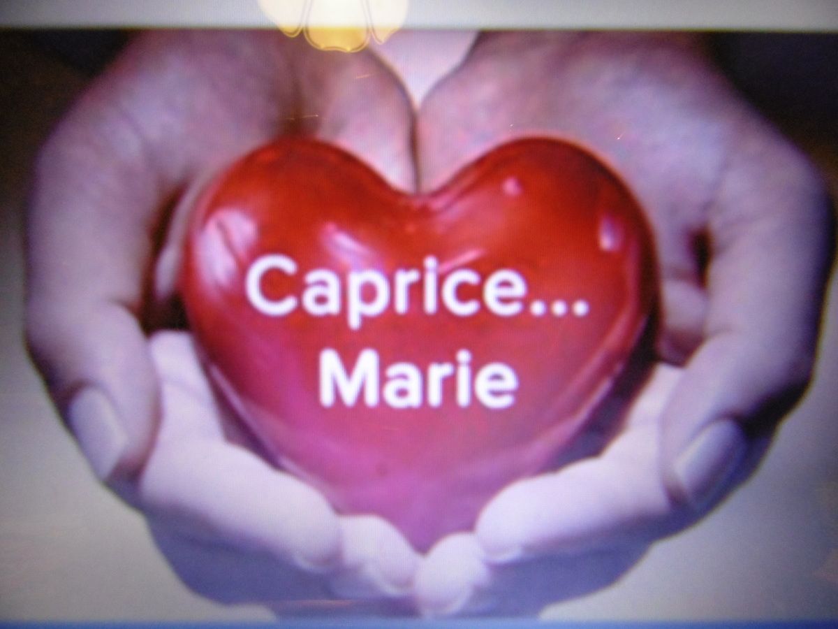 Citation Du Soleil Pour Notre Journee Bien Triste Avec Ce Geranium