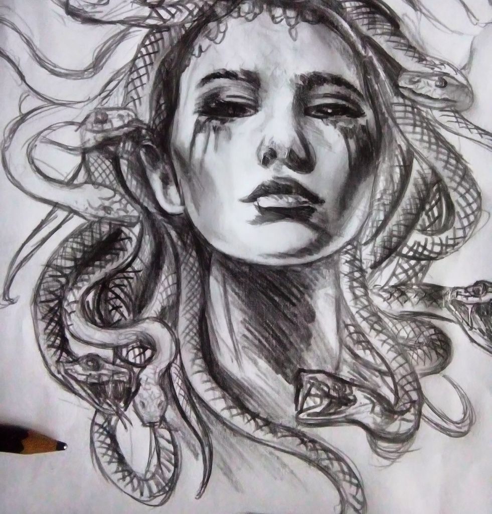 gorgone medusa gorgone medusa