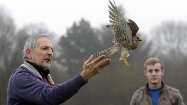 Depuis dix ans, et sans jamais prendre un jour de congé, Didier Masci gère le centre de sauvegarde de la faune sauvage Volée de piafs, sans qui des milliers d’animaux n’auraient pas survécu. | Thierry CREUX