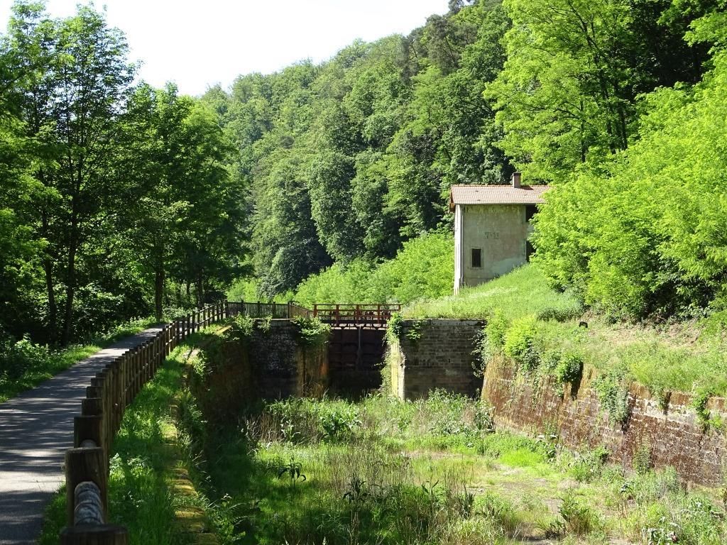 Photos : JLS (Cliquez pour agrandir)