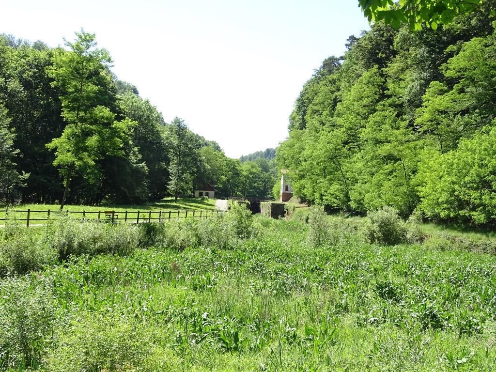 Photos : JLS (Cliquez pour agrandir)