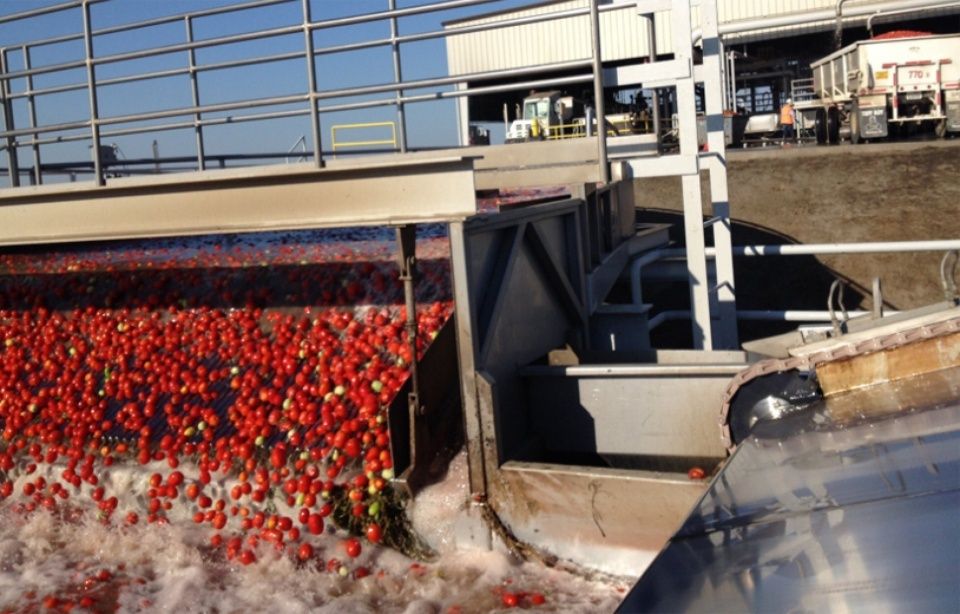 Dans «L'empire de l'or rouge», le journaliste Jean-Baptiste Malet relate ses deux ans d'enquête sur les dessous peu reluisants de la tomate d'industrie. Photo : Jean-Baptiste Malet