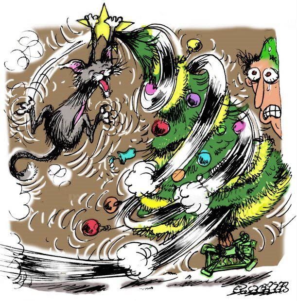 Le Chat Et Le Sapin De Noel Nature D Ici Et D Ailleurs