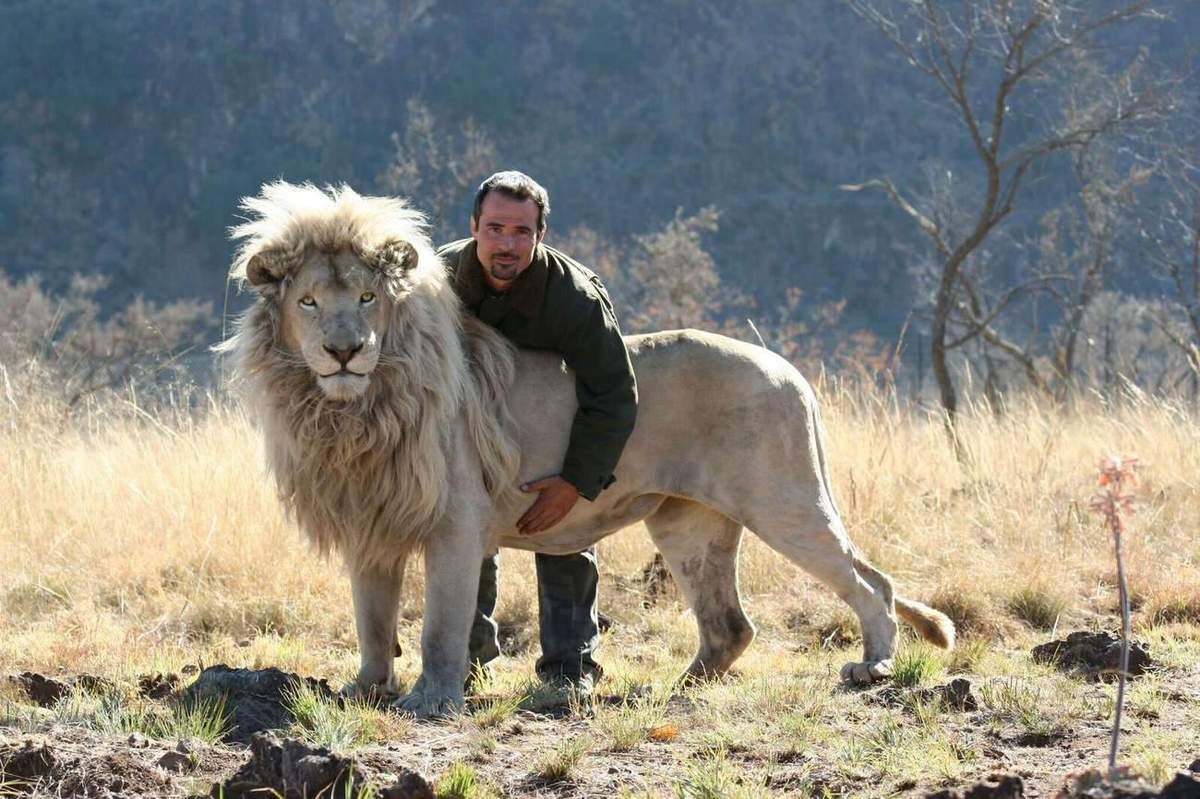 mia et le lion blanc peluche