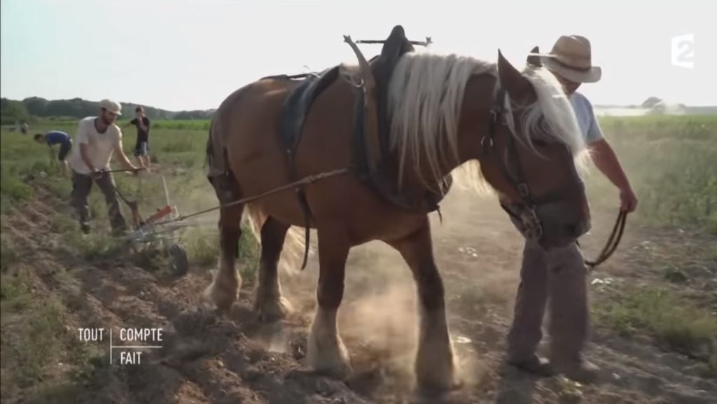 Image extraite de la vidéo « Ungersheim, la ville la plus écolo de France ». (Cliquez pour agrandir)