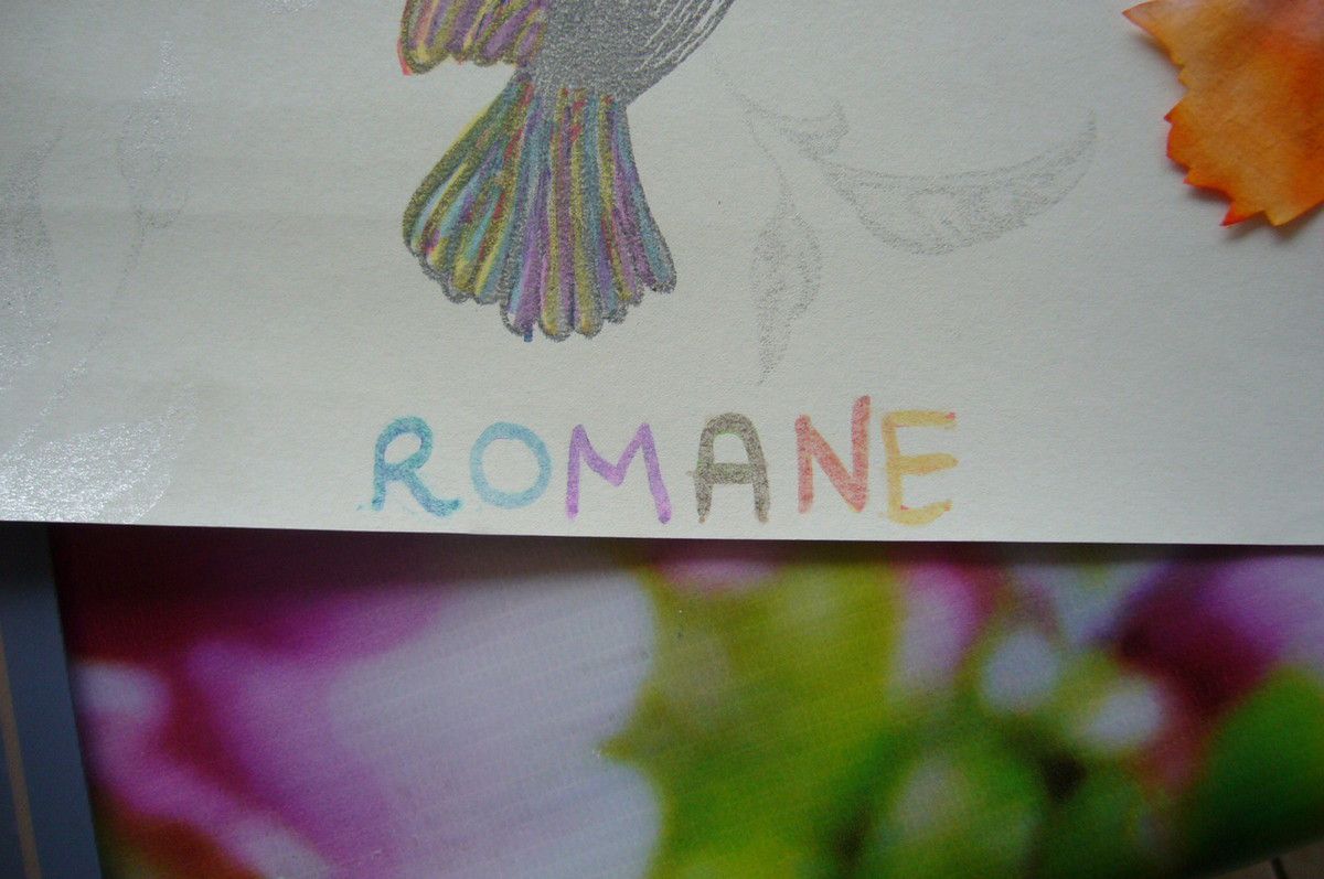 Le prénom Romane a également pris de nouvelles couleurs !