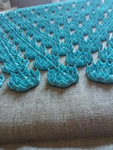 Mon tapis d'acupression Champ de fleurs - Bioloka - L'indispensable pour  soulager les douleurs de dos - Maman Enjoy
