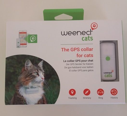 Mon Collier Gps Pour Chat Toujours Sous Surveillance Et Sous Protection Avec Weenect Maman Enjoy