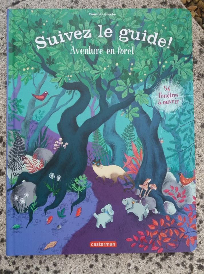 Suivez le Guide ! Editions Casterman