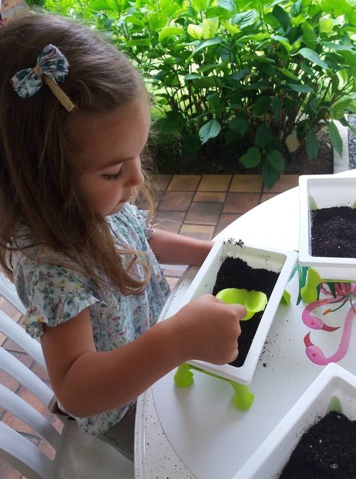 Kid's garden  Educa Borras 