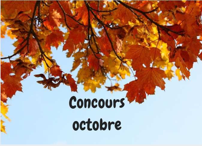 concours bon plan
