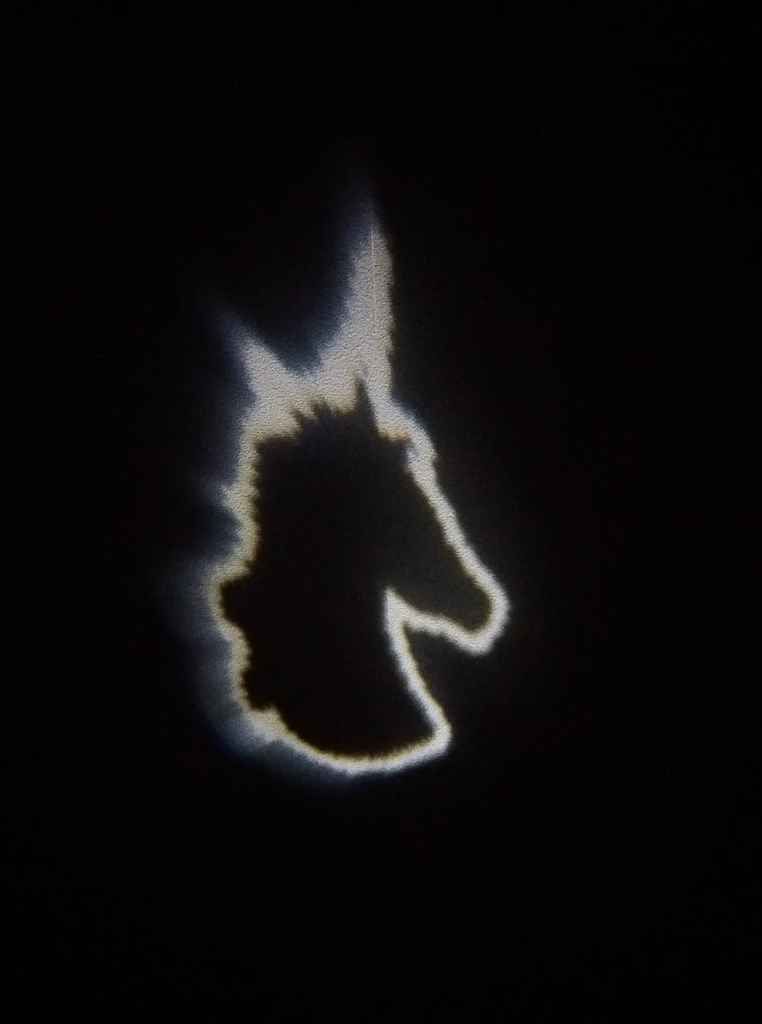 reveil licorne