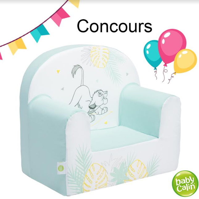 fauteuil Roi lion