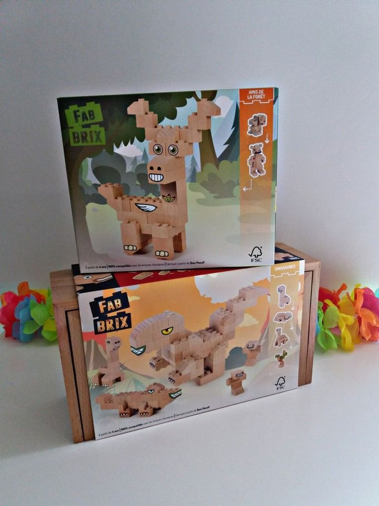Jeu FabBrix
