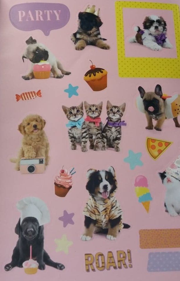 Studio Pet's