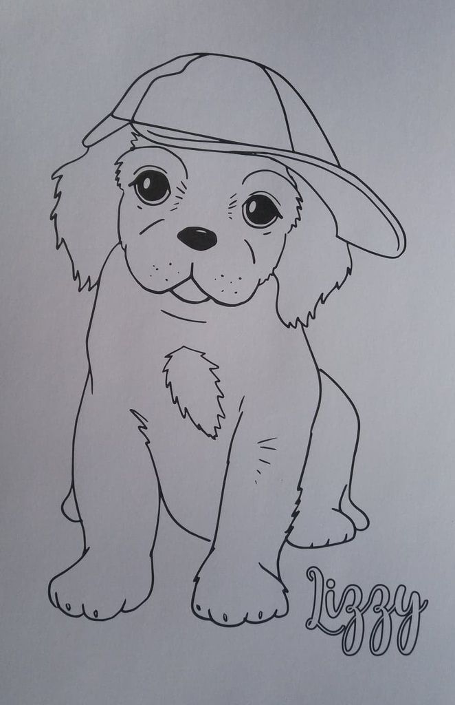 coloriage animaux