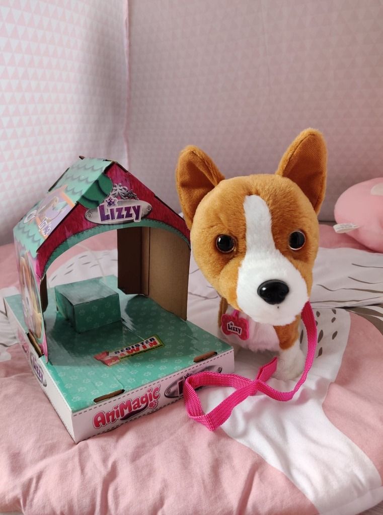 Lizzy Corgi Animagic