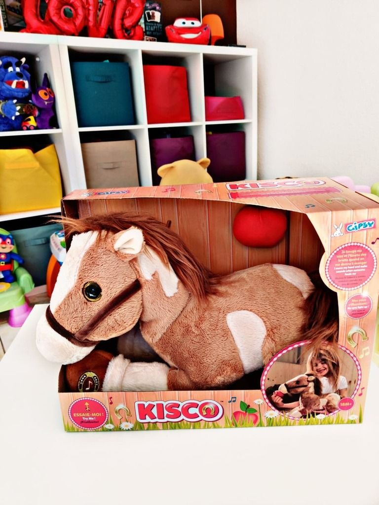 le cheval Kisco de Gibsy