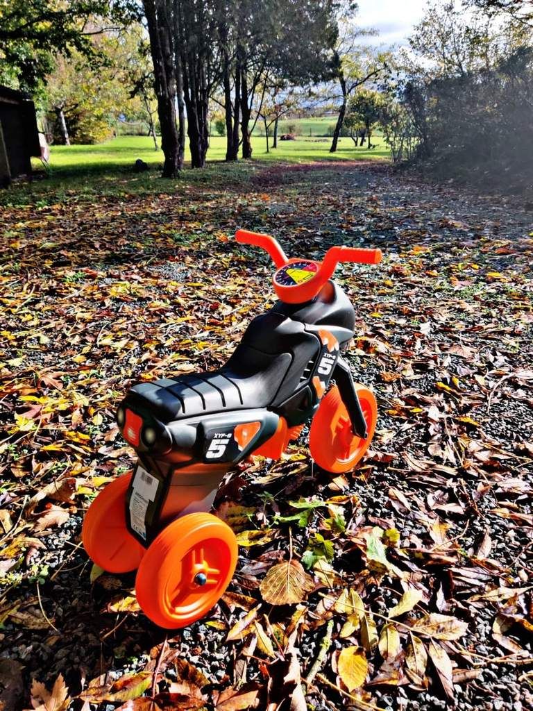 Moto tricycle Arigomoto