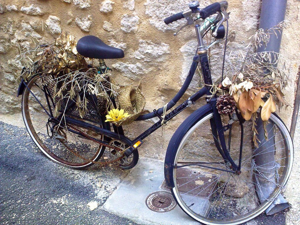 Le vélo c'est sympa!