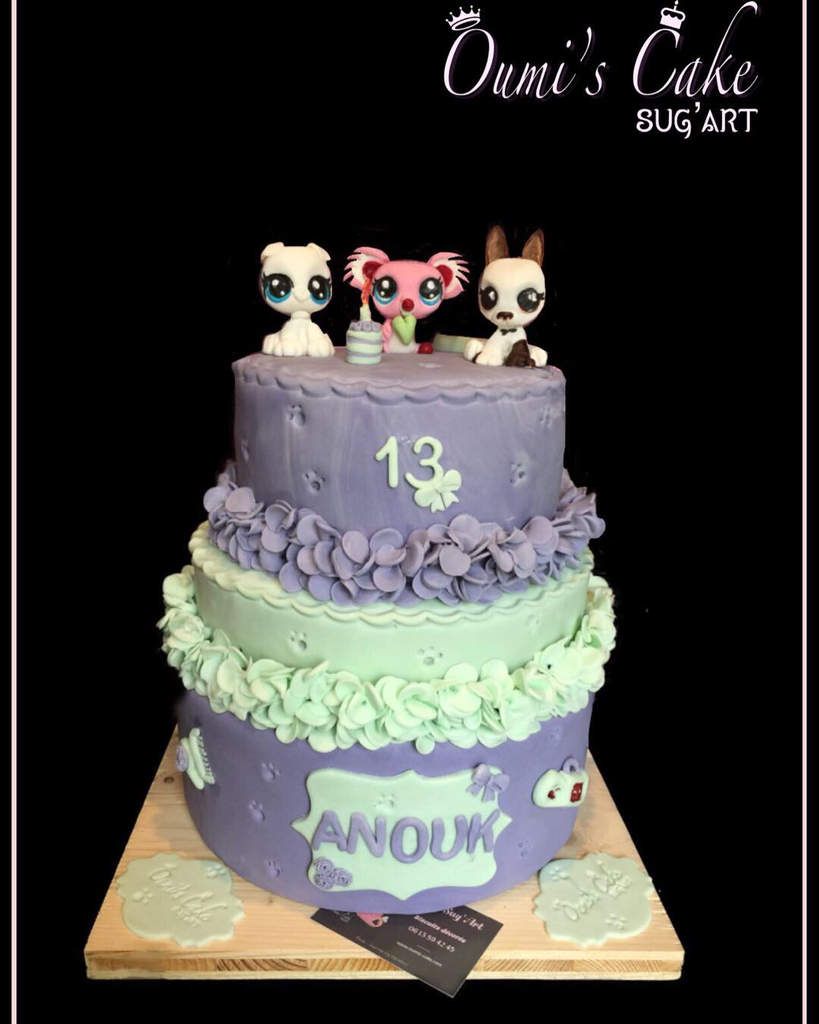 Bonsoir Je Vous Presente Donc Le Gateau Que J Ai Realise Pour La Jeune Fille Anouk Qui Fetait Hier Ses 13 Ans A L Hopital Pediatrique Elle Aime Le Violet Les Petshop Le Bonsoir Je Vous Presente Donc Le Gateau Que J Ai Realise Pour La Jeune Fille Anouk Qui Fetait Hier Ses 13 Ans A L Hopital Pediatrique Elle Aime Le Violet Les Petshop Le