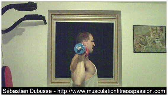 Les développés simultanés debout avec haltères, Sébastien Dubusse, blog  Musculation Fitness Passion - Musculation/Fitness Passion