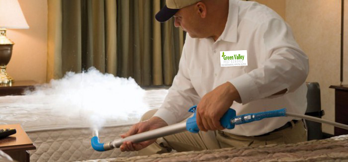 Bed bug control Vancouver 