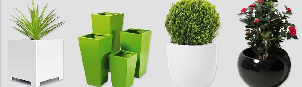 Cách chọn chậu phù hợp cho cây