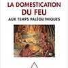 La naissance du foyer