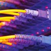 Bell Labs : actualité sociale octobre-novembre 2016