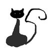 Chat perché, pas cherché