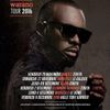 Concert de Maitre Gim's