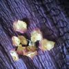 "SUR LA MORT D'UNE ROSE " : ADIEU BELLE ROSE !