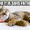 Je suis Fatigué de défendre une cause qui n’intéresse Personne ....