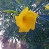 TENDRE NATURE ....MON SEUL REFUGE .....
