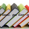 Bilan lecture