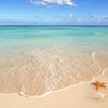 Bonnes vacances