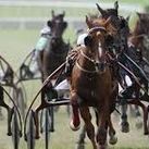le blog de wolni (gratuit) - Pronostics courses chevaux