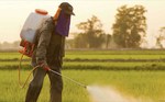 Glyphosate: 81% des français estiment qu'il faut interdire l'herbicide