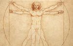 Léonard de Vinci, ses peintures & dessins exposés au Louvre 4 mois