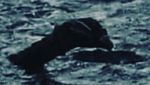 Monstre du Loch Ness: 14 observations en 2018, dernière le 19/12